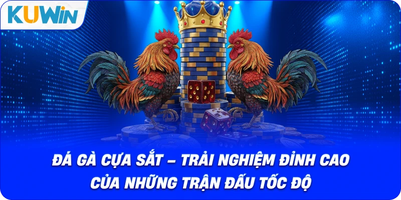 Đá Gà Cựa Sắt – Trải Nghiệm Đỉnh Cao Của Những Trận Đấu Tốc Độ