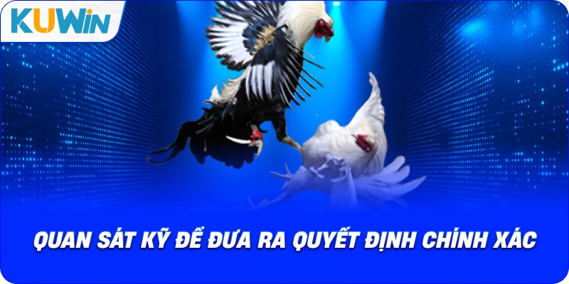 quan sát kỹ để đưa ra quyết định chính xác